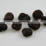 Black Truffle From Sunshine thumbnail-3