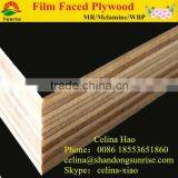 Non-slip Marine Plywood,Black Film Faced Plywood thumbnail-4