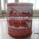 400g Tinned Tomato Paste From Premium Raw Material thumbnail-1