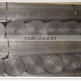 Professional and Large Glavanized Welded Netting (factory)
