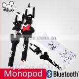 Z07-9 China Factory Carton Monopod,selfie Stick thumbnail-2