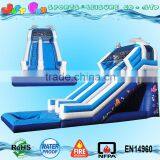 Commercial Grade Dolphin Water Slide With Pool, Big Water Slides for Sale