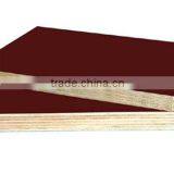 Cedar Veneer Film Faced Plywood thumbnail-4
