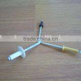 Stainless Steel Rivet