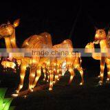 Famous China Lantern Safari World Lanterns Colorful Attractive Impressive thumbnail-4