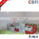 CBFI Cold Room for Fruits and Vegetables thumbnail-5