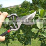 pruning scissor