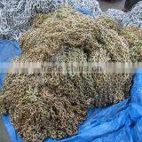 ASTM80 Standard Link Chain