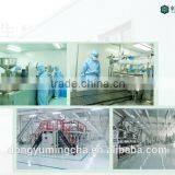 Natural Green Tea Finnings Organic Broken Green Tea for Making Tea Bags thumbnail-5