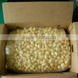 2015 Shandong IQF Frozen Peeled Garlic Cloves thumbnail-2