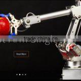 6 Axle Assembly Education Robot Arm From China Factory thumbnail-5