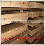 Mealworms Safe to Eat/pigeons Eat Mealworms/freeze Mealworms thumbnail-5