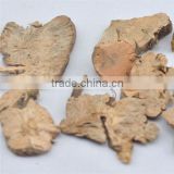 jin qiao mai root of buckwheat rhizoma fagopyri dibotryis