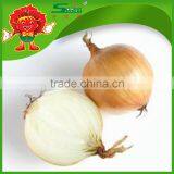 2015 Crop Fresh Red Onion in Mesh Bag Onions in Bulk thumbnail-4
