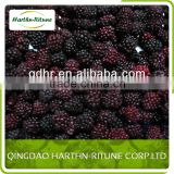 Wholesale Frozen Blackberry Fruit