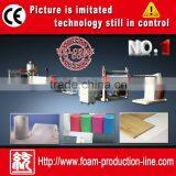 Hot Sale PE Foaming Sheet Plastic Machine