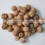 Shanxi Best Popular Fenyan Mayifang Large Crumbs Kertnel,walnut kernel,raw walnut meat,