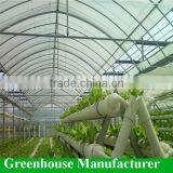 Hydroponics System /vertical Aquaponics Setup