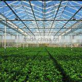Light Frame Steel Structure Building for Greenhouse, Poultry Farm With Really Low Cost thumbnail-6
