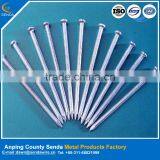 Flat Headed Iron Nails / High Quality Nails for Wood Fastening thumbnail-1