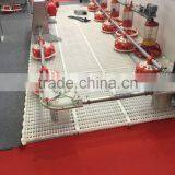 Automatic Poultry Feeder /poultry Feeding System/chicken Farm Feeder thumbnail-2