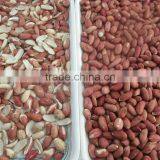 Best Price Cereal CCD Color Sorter in China Manufacture thumbnail-3
