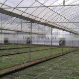 Baolida Cheap Vegetables Tunnel Greenhouse thumbnail-2