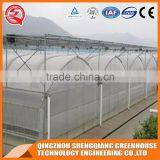 China Direct Plastic Greenhouse for Plant Tomato and Flowers thumbnail-1