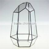 Micro Landscape Plant Glass Greenhouse Clear Geometric Terrarium thumbnail-4