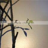 Home Garden Decoration 70cm Hight Yellow Cornus Chrysanthemum Wedding Flower EHMF03 0401 thumbnail-3