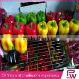 New Products 2016 Innovative Product Decorative Artificial Foam Fruit thumbnail-6