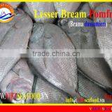 FROZEN LESSER BREAM POMFRET W/R thumbnail-1