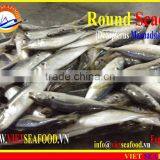 FROZEN MARUADSI (ROUND SCAD) thumbnail-1