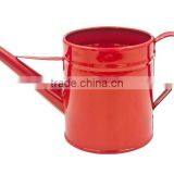 Hot Sale Colorful Garden Metal Watering Can thumbnail-2