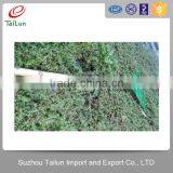 High Quality Plastic Coated 22 Tines 60# Steel Hay Rake thumbnail-1