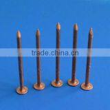 High Quality Copper Square Nails for Sale thumbnail-1