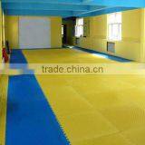 Floor Puzzle Mats Martial Arts Mats EVA Taekwondo Workout Mat thumbnail-2