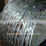 Barbed Wire Razor Wire Fencing for Military Grade thumbnail-4