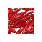 Sell Wangdu Chili thumbnail-1