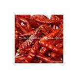 Sell Chili (Stemless 3 - 5cm) thumbnail-1