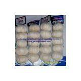 Super White Garlic in 10kg/ Carton thumbnail-3