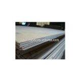 White Skin Texture Plywood thumbnail-1