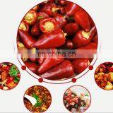 Red Pepper Slicer Machine Dry Red ChilI Cutter Pepper Seed Separating Machine thumbnail-6