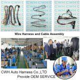 CWH Auto Harness Co.,LTD company overview - view 1 thumbnail