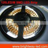 SMD3528 Black PCB 60LEDs/m LED Strip Light