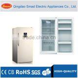 Frost Free Compressor Fridge, Portable Double Door Refrigerator thumbnail-6