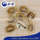 2015 Fashion OEM Cowries Shell Button thumbnail-2