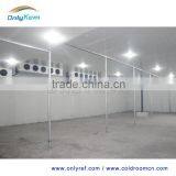 Cold Storage Deep Freezer for Seafood, Green House Mobile Freezer Prices thumbnail-2