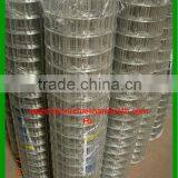 Heavy Guage Galvanized Welded Wire Mesh thumbnail-1