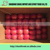 138-150 Pcs Red Fuji Apple,delicious Apple thumbnail-6